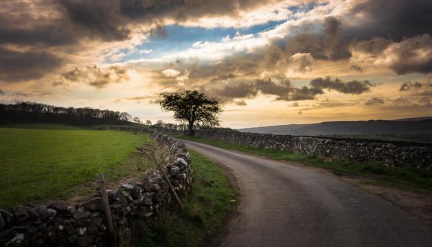 牧场深处的生机与智慧