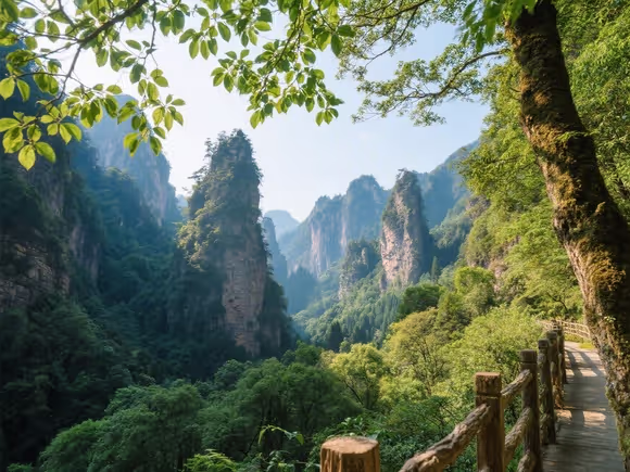 武陵风景区有什么