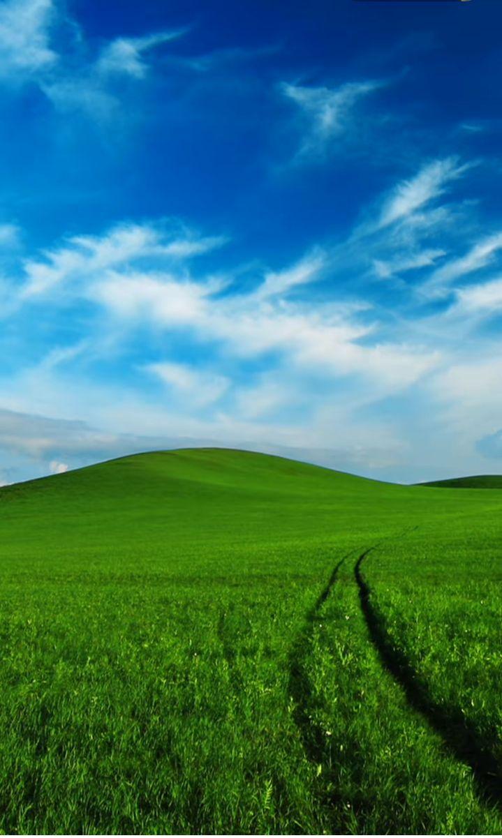 草原深处的呼吸：那些与牛羊共生的岁月