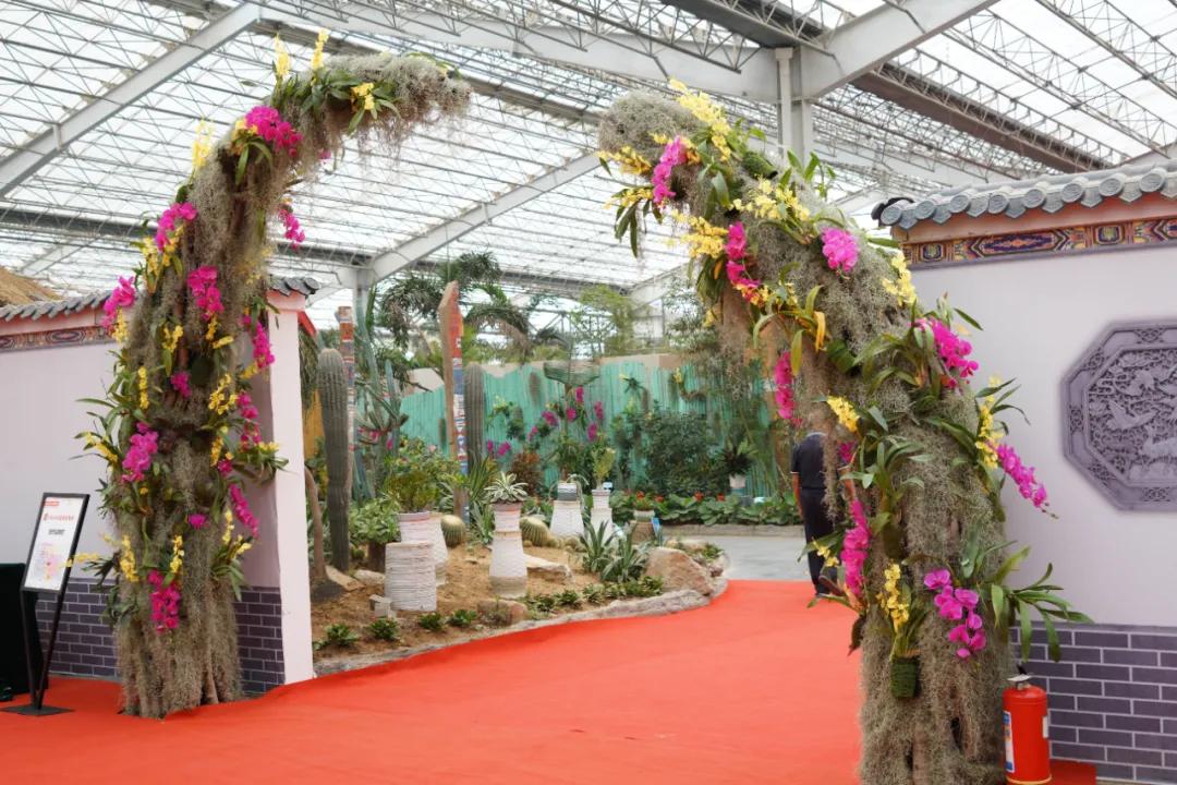 园艺：在泥土与枝叶间的生命絮语