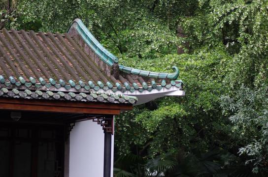 屋檐裁取的月光