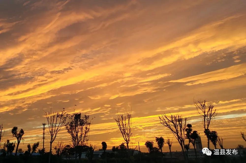 镜头下的烟火气