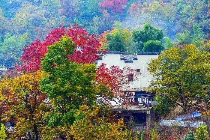 脚步丈量世界时，那些藏在风景里的故事