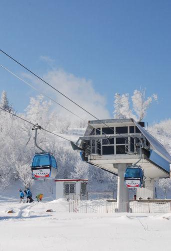 雪场撒欢记：从摔跤王者到初级滑手的逆袭之路