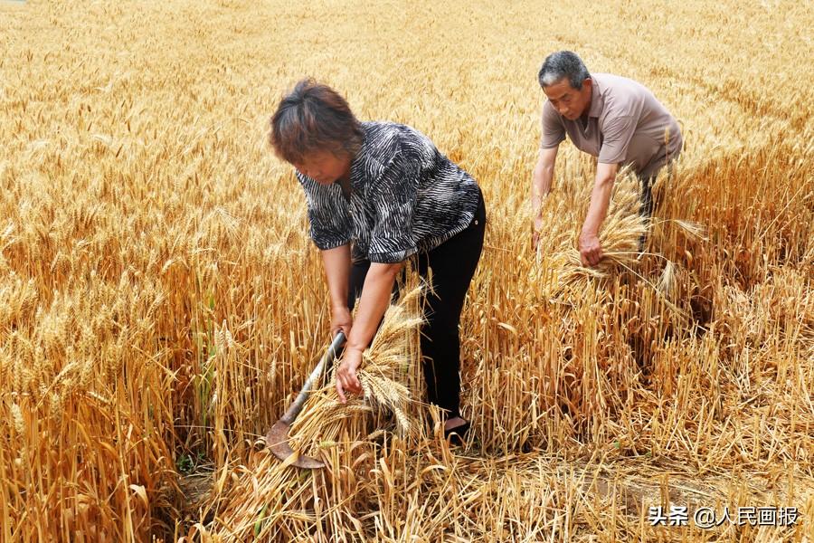 田野间的古今交响农业里的文明密码