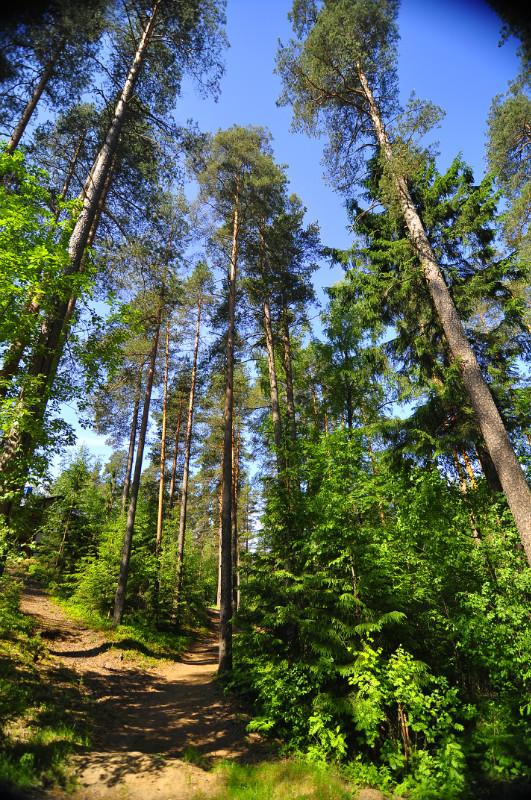 光影织就的北欧梦境：在极简与温暖间游走的生活美学