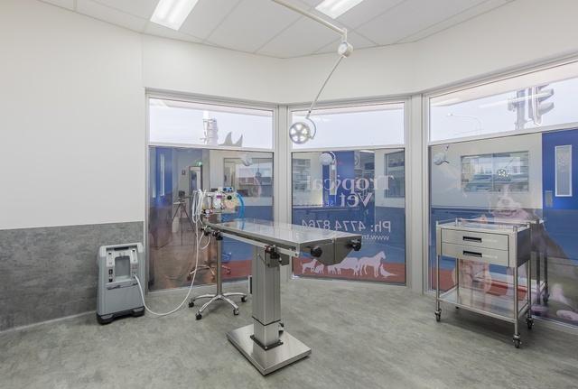 从口粮到陪伴：宠物经济的千亿市场里藏着多少新机遇