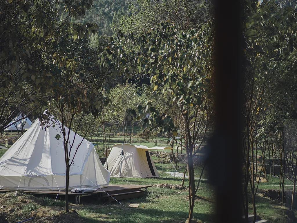 山谷里的星光与炊烟：一场不期而遇的露营记事