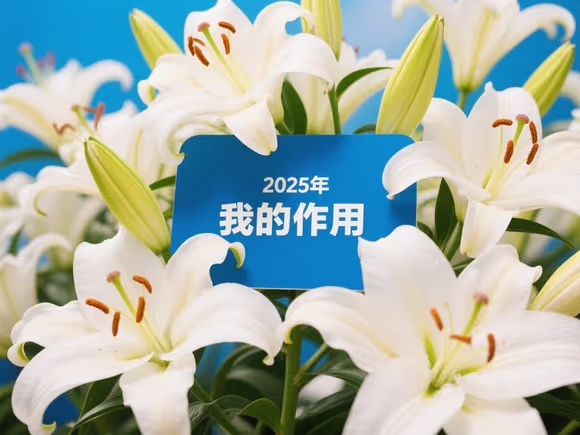 百合花中我的作用