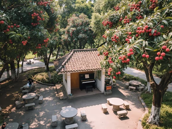 深圳免费琴房都有什么景点